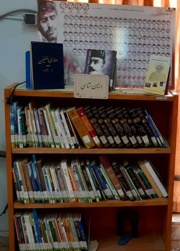 قفسه استان شناسی